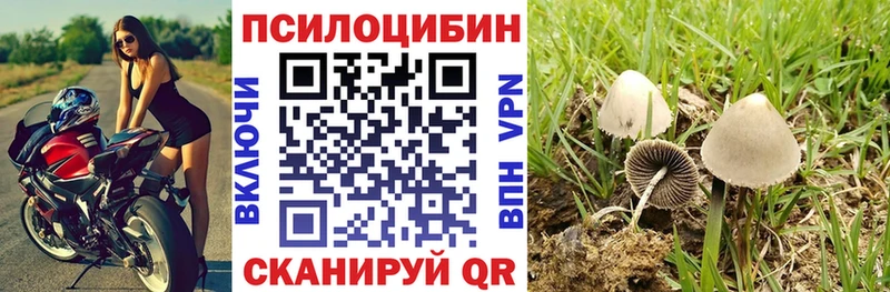 Галлюциногенные грибы Psilocybine cubensis  Энгельс 